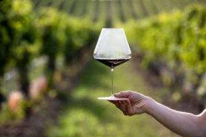 Hand holding wine glass with vineyard backdrop.