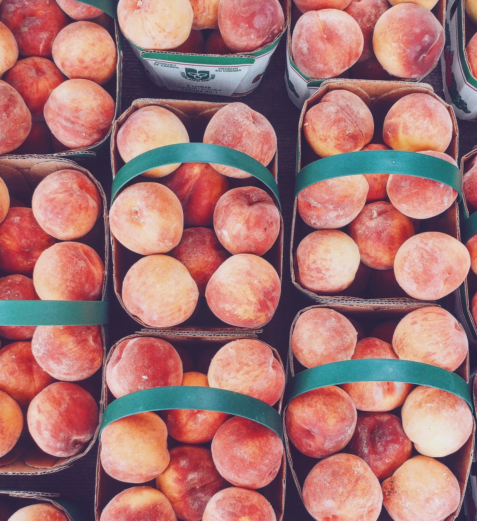 Ontario's Best Peach Picking Spots Ontario Culinary
