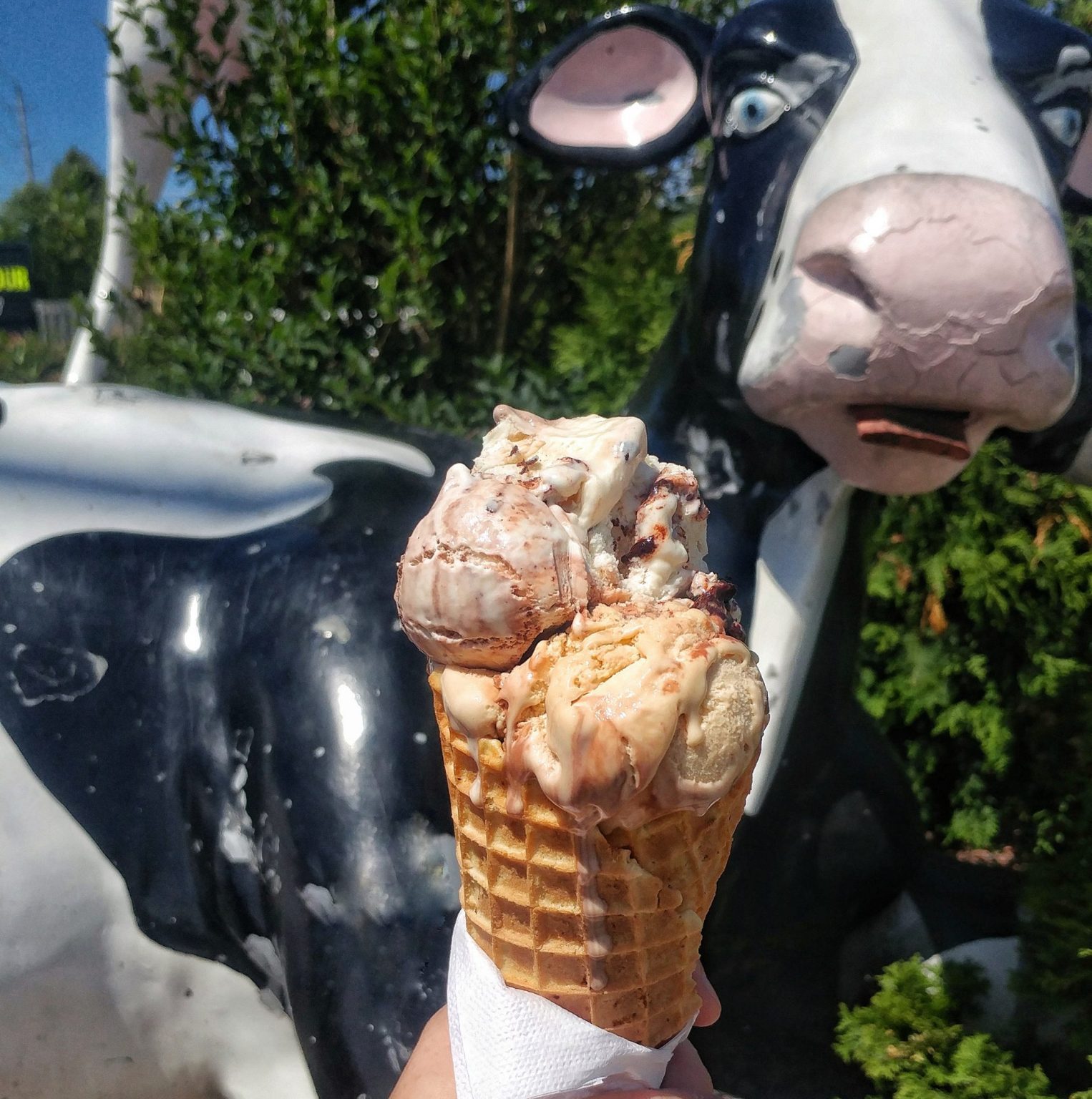 Our Favorite Retro Ice Cream Shops in Ontario Ontario Culinary