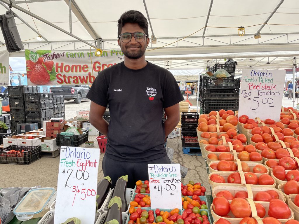 Man at the St. Jacobs Farmers' Market selling tomatoes