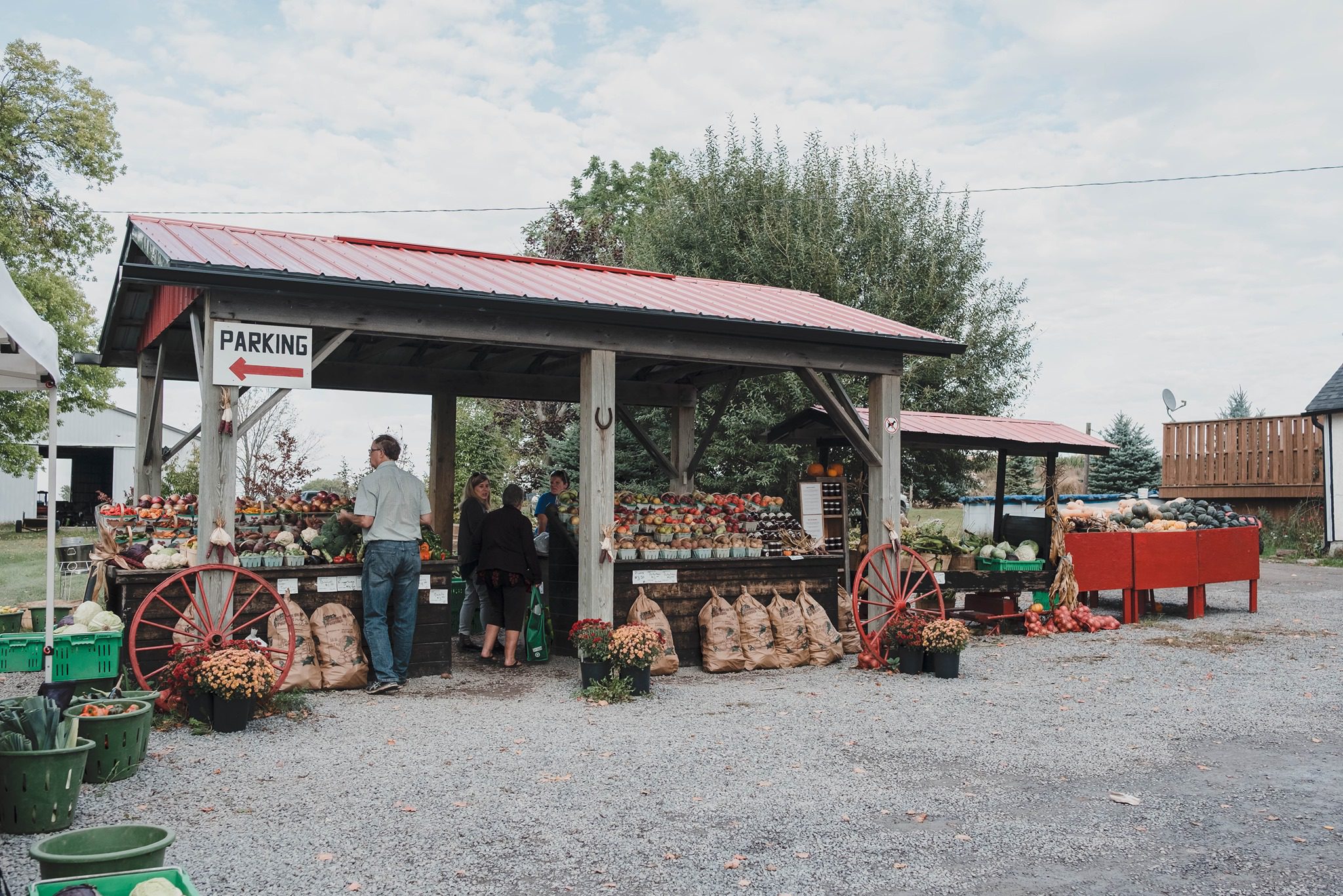 Farmers Market Scene