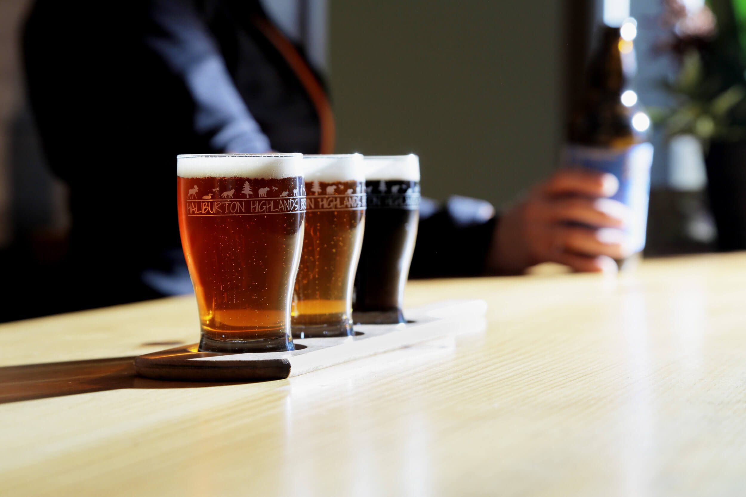 Three glasses of beer lined up on the bar at Haliburton Highlands Brewing