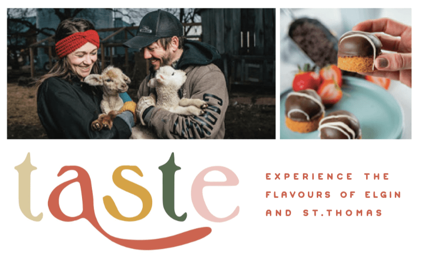 taste guide 2024