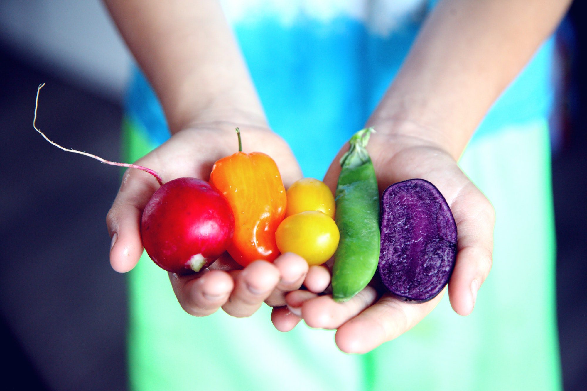 stock image holding veggies