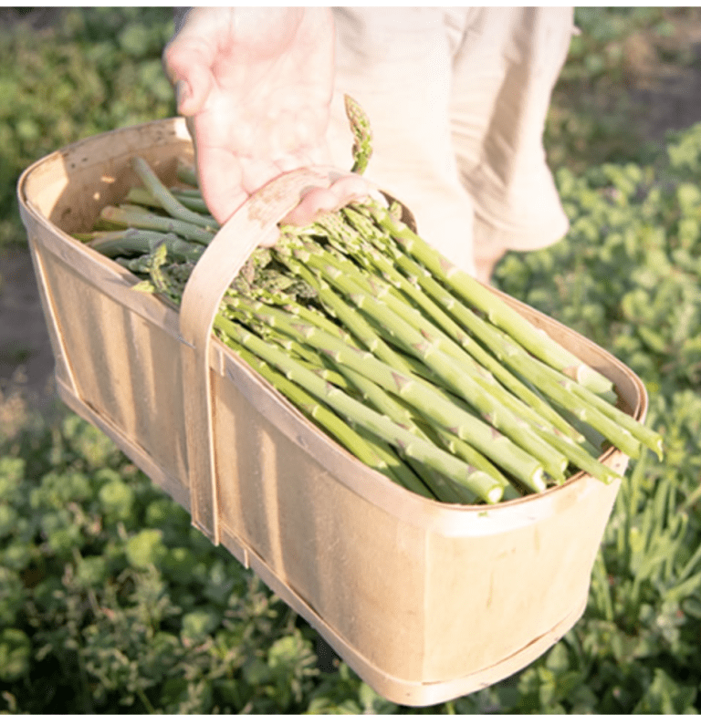 3 ways to enjoy Asparagus Season in Ontario Ontario Culinary