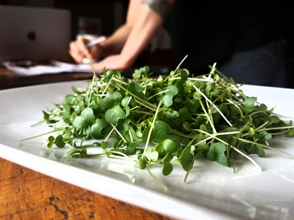 Plate of microgreens