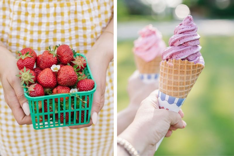 two photos, photo on left is close up of woman holding strawberry filled basket. Right side photo is close up of two people holding swirled ice cream cones