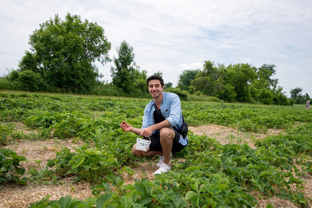zain in the field picking strawberries at canamore orchards