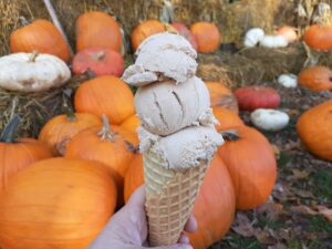 hand holding ice cream on a waffle cone in front of pumpkins