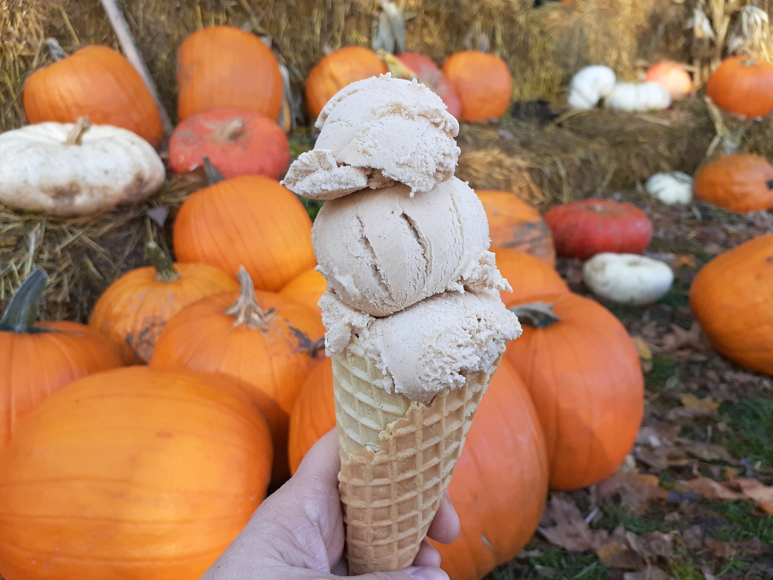 hand holding ice cream on a waffle cone in front of pumpkins