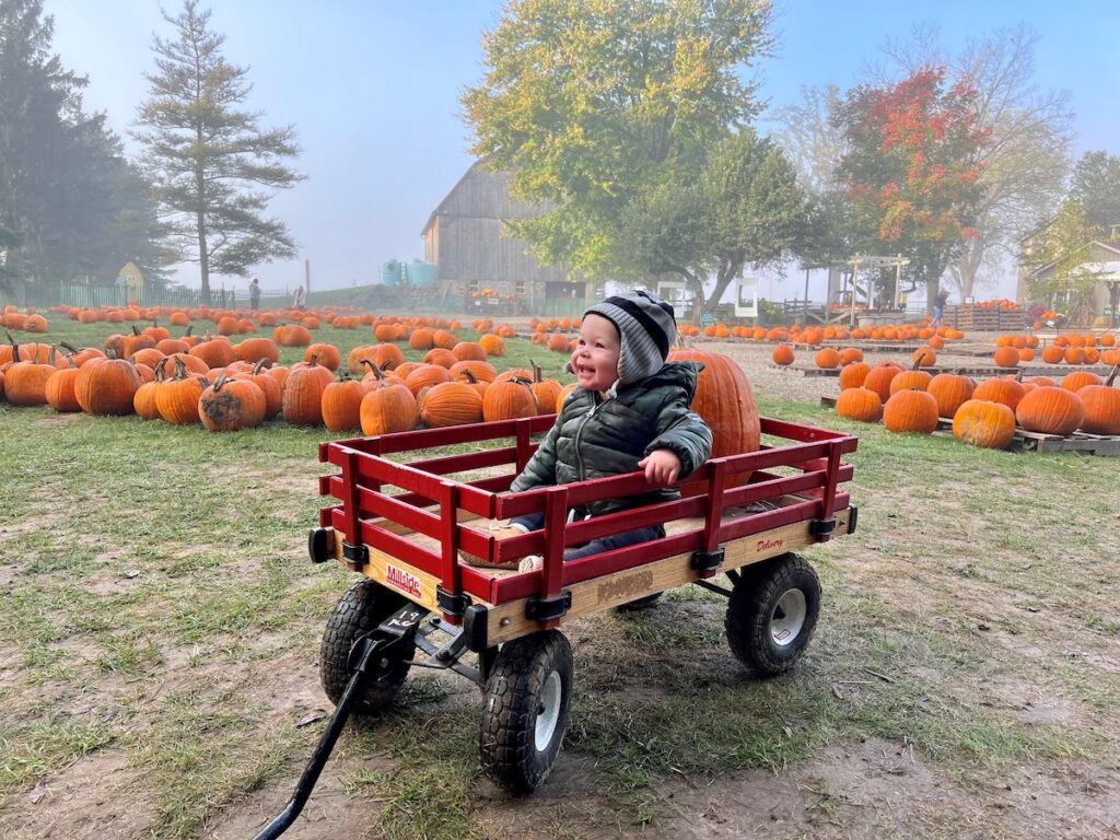 little boy sitting in a red wagon in a pumpkin patch