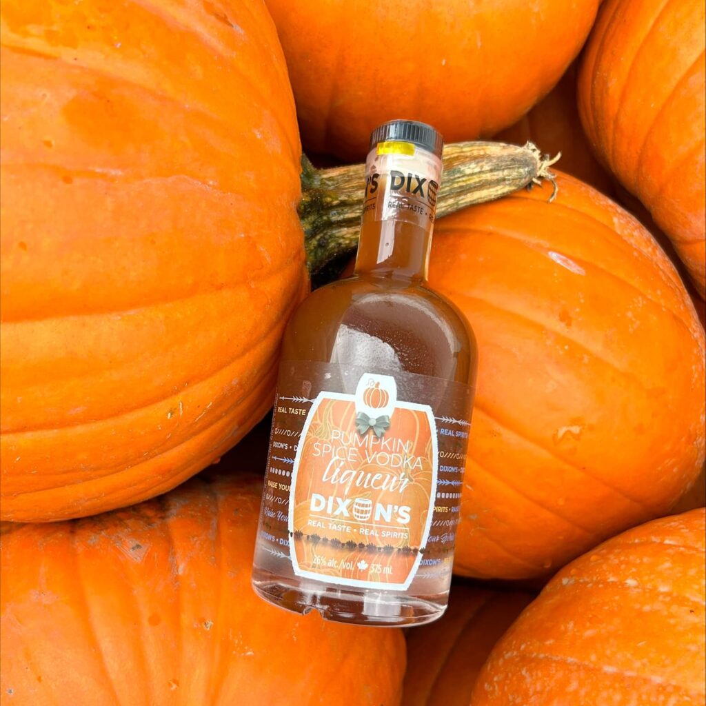 dixon's pumpkin spice vodka liquer laying on pumpkins
