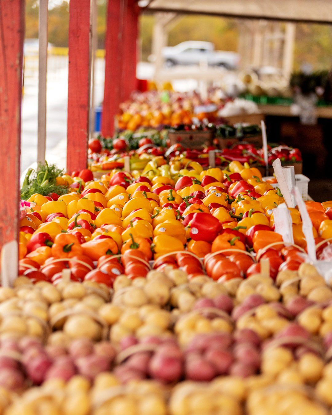 Barrie Ontario Culinary
