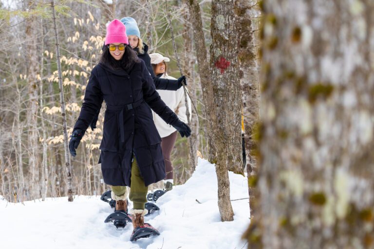snowshoeing through the woods
