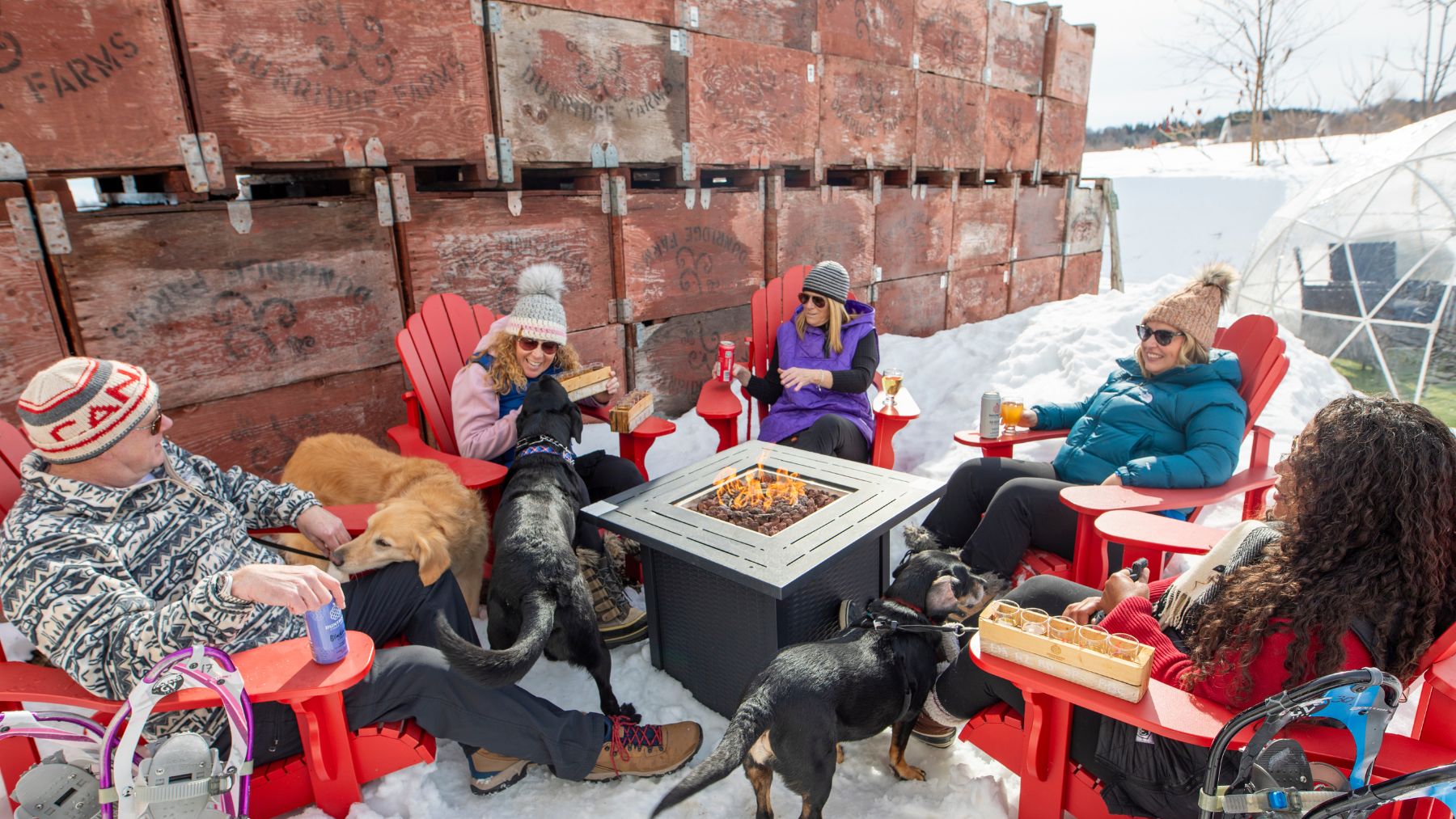 Duntroon Cyder House outdoor fire pit experience with five people and 3 dogs gathered around a fire bit with snow shoes and cider