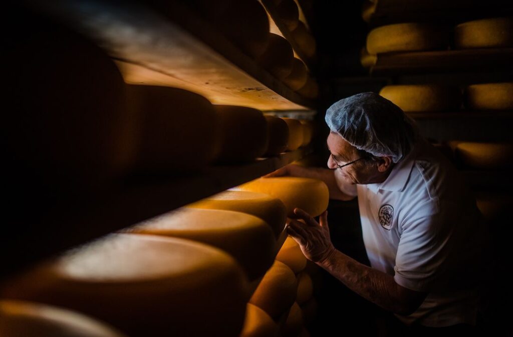 adam peering through rows of wheels of cheese with a hairnet on at Mountainoak Cheese