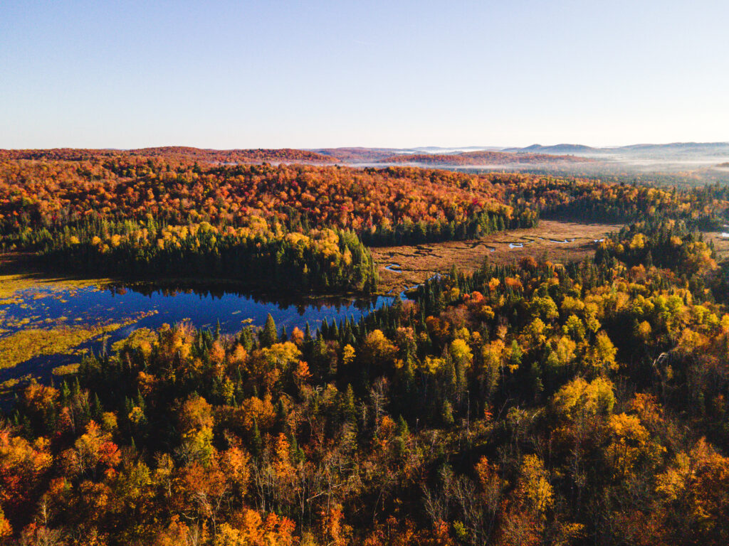 Almaguin Highlands in fall
