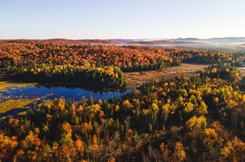 Almaguin Highlands in fall