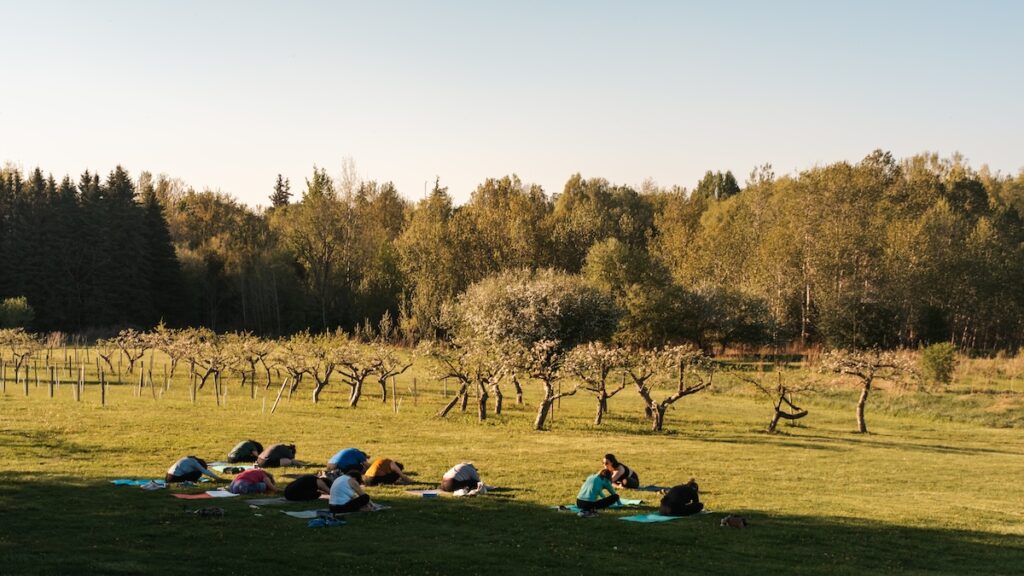 yoga class in the vineyard