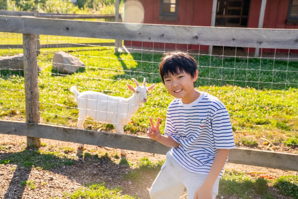 Child giving the peace sign in front of a fence and a white goat behind the pen